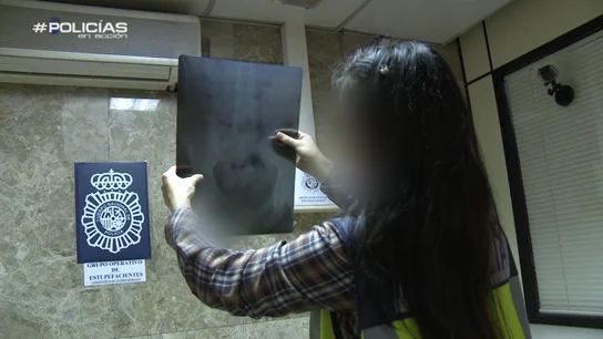Policías en acción Policías en acción