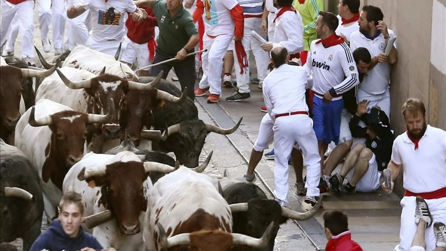 Los toros de Miura cierran los encierros de San Fermín 2014 Los toros de Miura cierran los encierros de San Fermín 2014