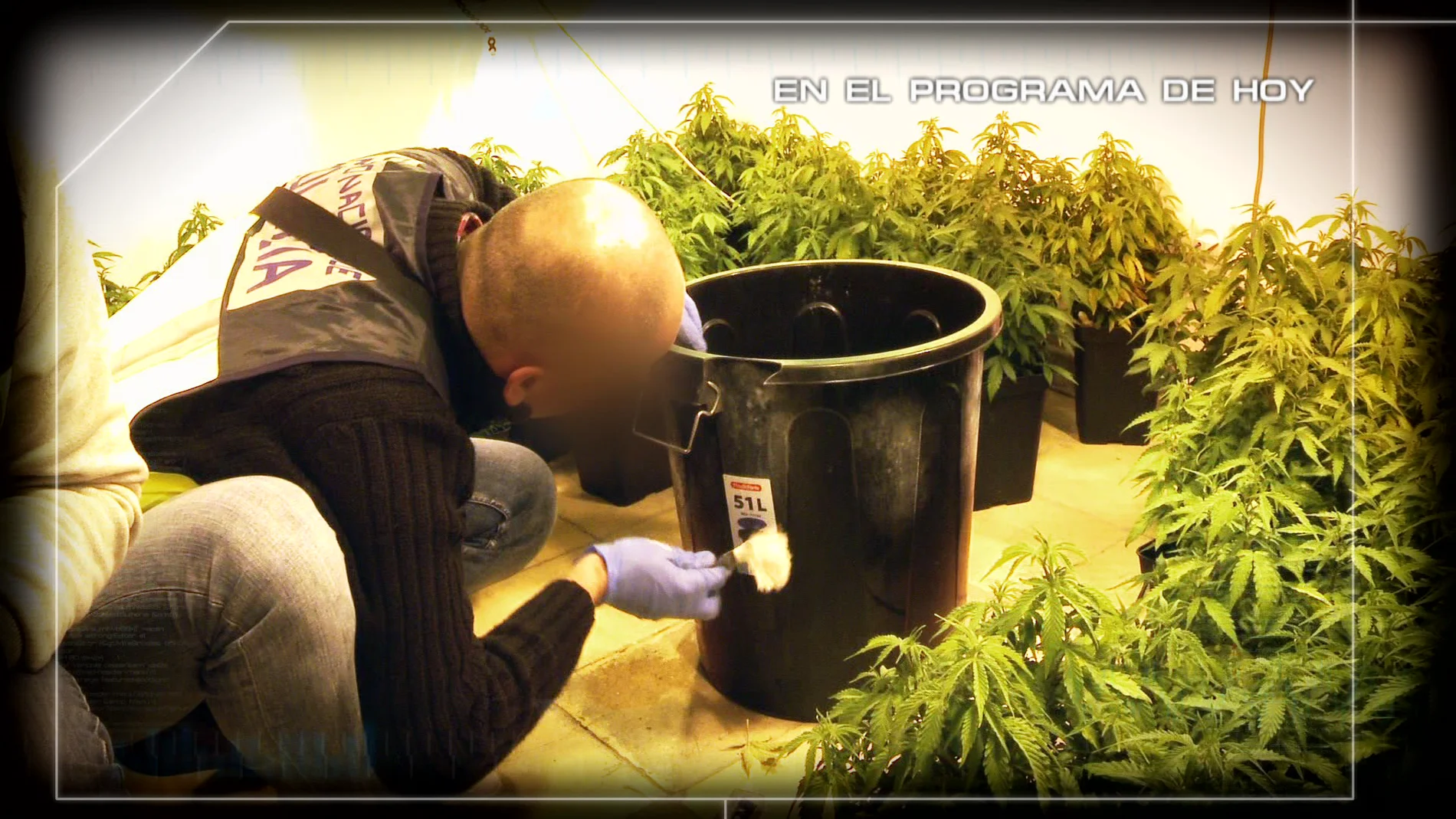 Buscando huellas en los útiles para cultivar marihuana
