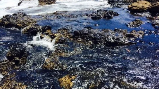 Un vertido en la playa de El Cabrón afecta a más de un kilómetro del litoral sureste de Gran Canaria Un vertido en la playa de El Cabrón afecta a más de un kilómetro del litoral sureste de Gran Canaria