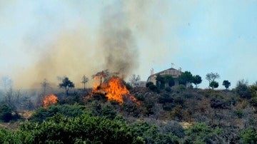 Imagen del incendio proclamado en Cogolludo, Guadalajara