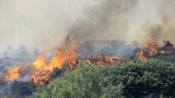 Controlado el incendio forestal de Aleas (Guadalajara)