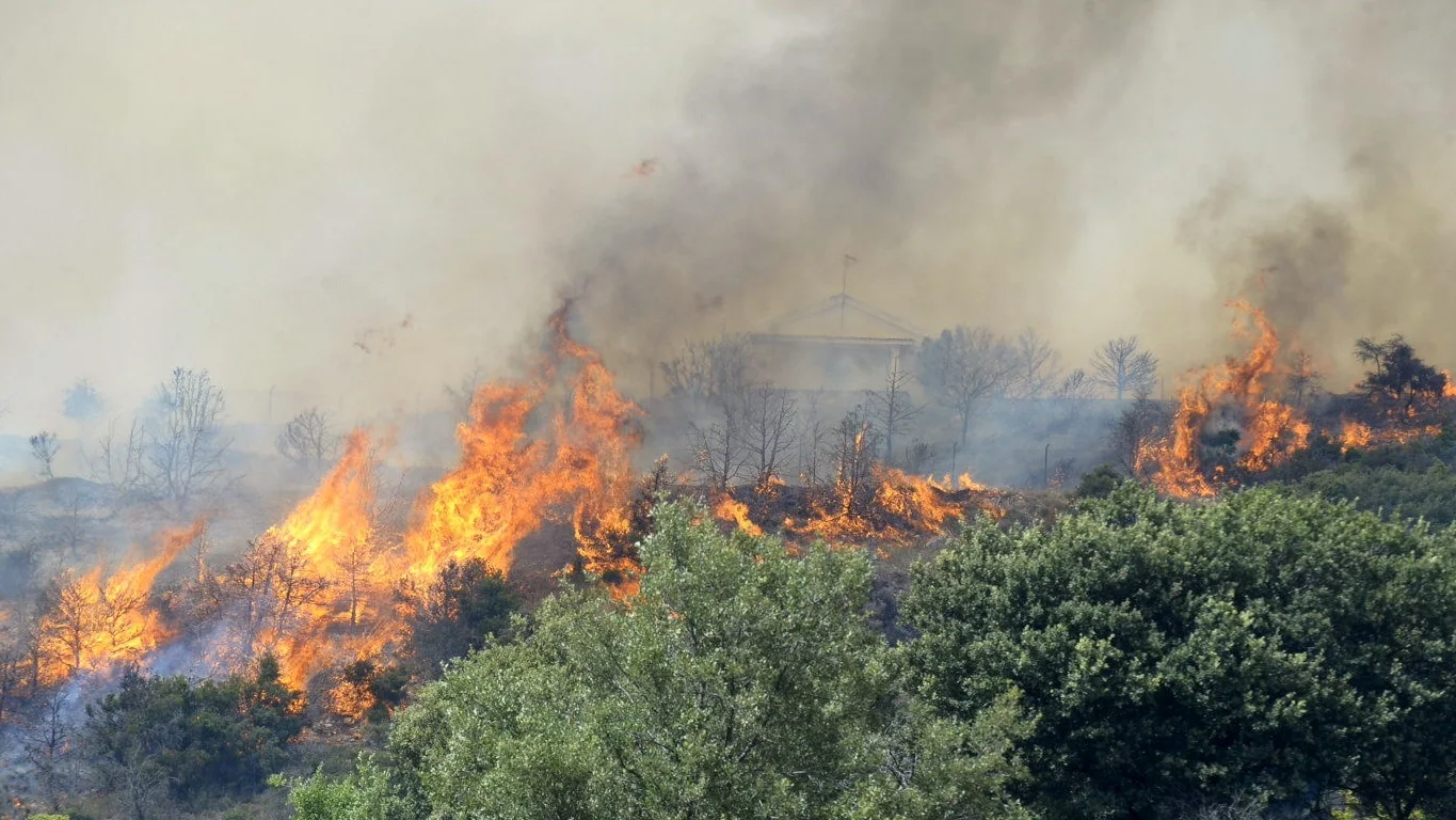 Controlado el incendio forestal de Aleas (Guadalajara)