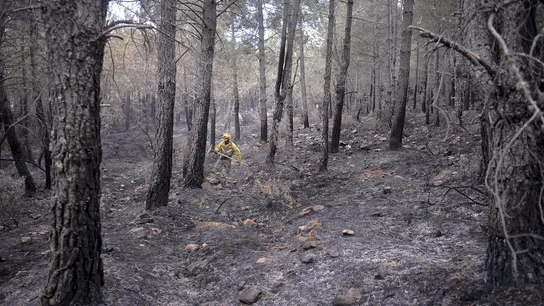Un de los dos incendios de Guadalajara se encuentra extinguido y el de Castellón sigue en nivel 2 Un de los dos incendios de Guadalajara se encuentra extinguido y el de Castellón sigue en nivel 2