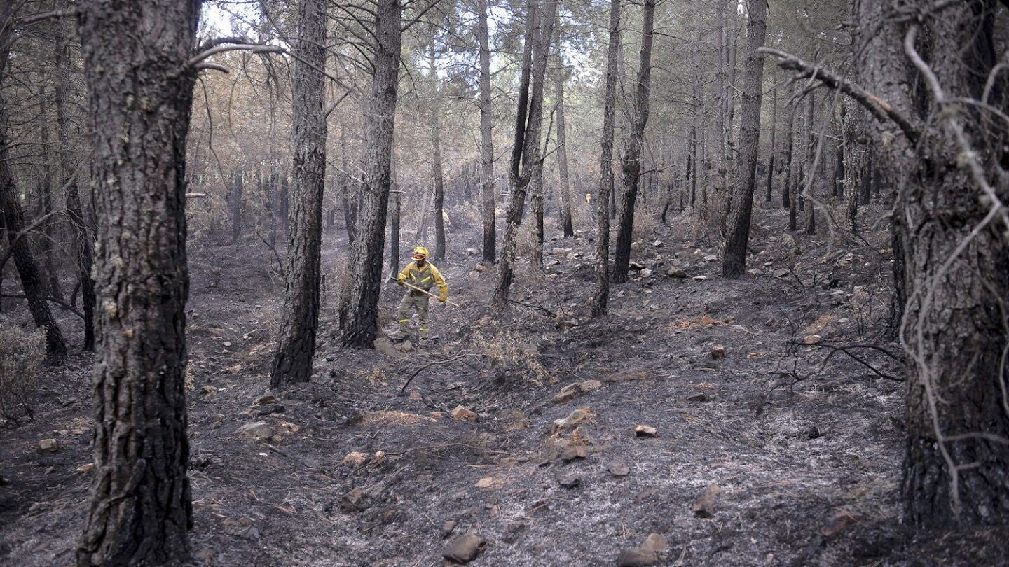 Un de los dos incendios de Guadalajara se encuentra extinguido y el de Castell&oacute;n sigue en nivel 2