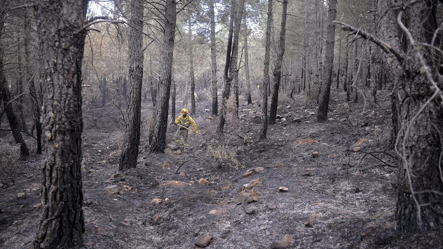 Un de los dos incendios de Guadalajara se encuentra extinguido y el de Castellón sigue en nivel 2 Un de los dos incendios de Guadalajara se encuentra extinguido y el de Castellón sigue en nivel 2