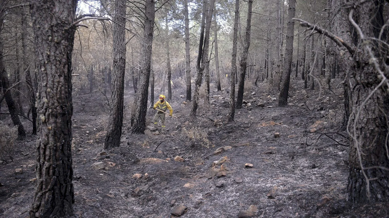 Un de los dos incendios de Guadalajara se encuentra extinguido y el de Castellón sigue en nivel 2