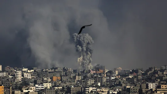 651 palestinos muertos y 4.600 heridos en 16 días de ofensiva israelí en Gaza 651 palestinos muertos y 4.600 heridos en 16 días de ofensiva israelí en Gaza