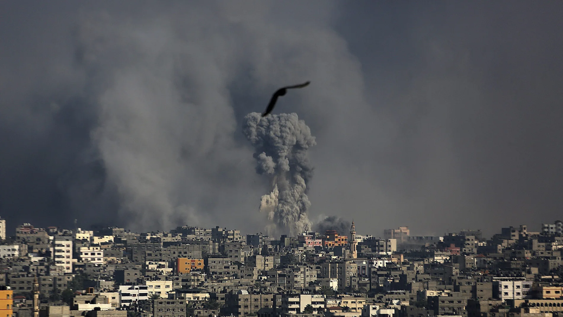 651 palestinos muertos y 4.600 heridos en 16 días de ofensiva israelí en Gaza