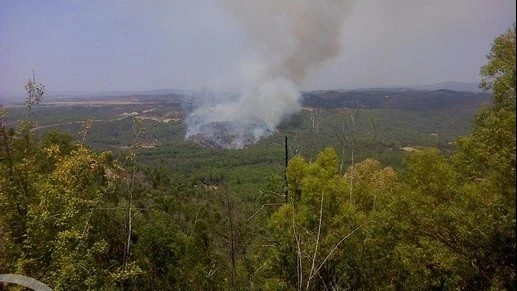 Incendio declarado en el paraje Puente de los Cinco Ojos, en Huelva