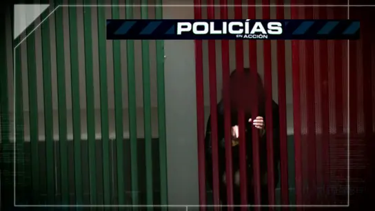 Policías en acción Policías en acción