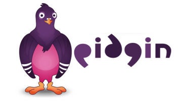 Pidgin