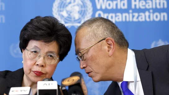 La directora general de la Organización Mundial de la Salud, Margaret Chan La directora general de la Organización Mundial de la Salud, Margaret Chan