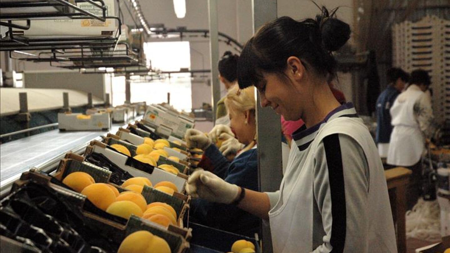Cooperativa "La Calandina" en Calanda (Teruel).
