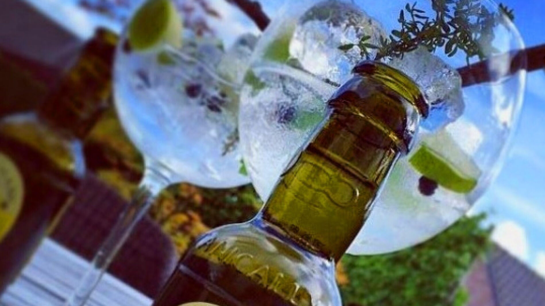 Dale sabor a tu GinTonic con cinco tónicas