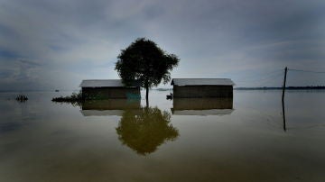 Aumentan a 111 los muertos en las inundaciones del norte de la India