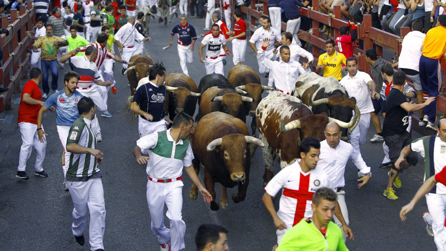 Cuarto encierro de San Sebasti&aacute;n de los Reyes