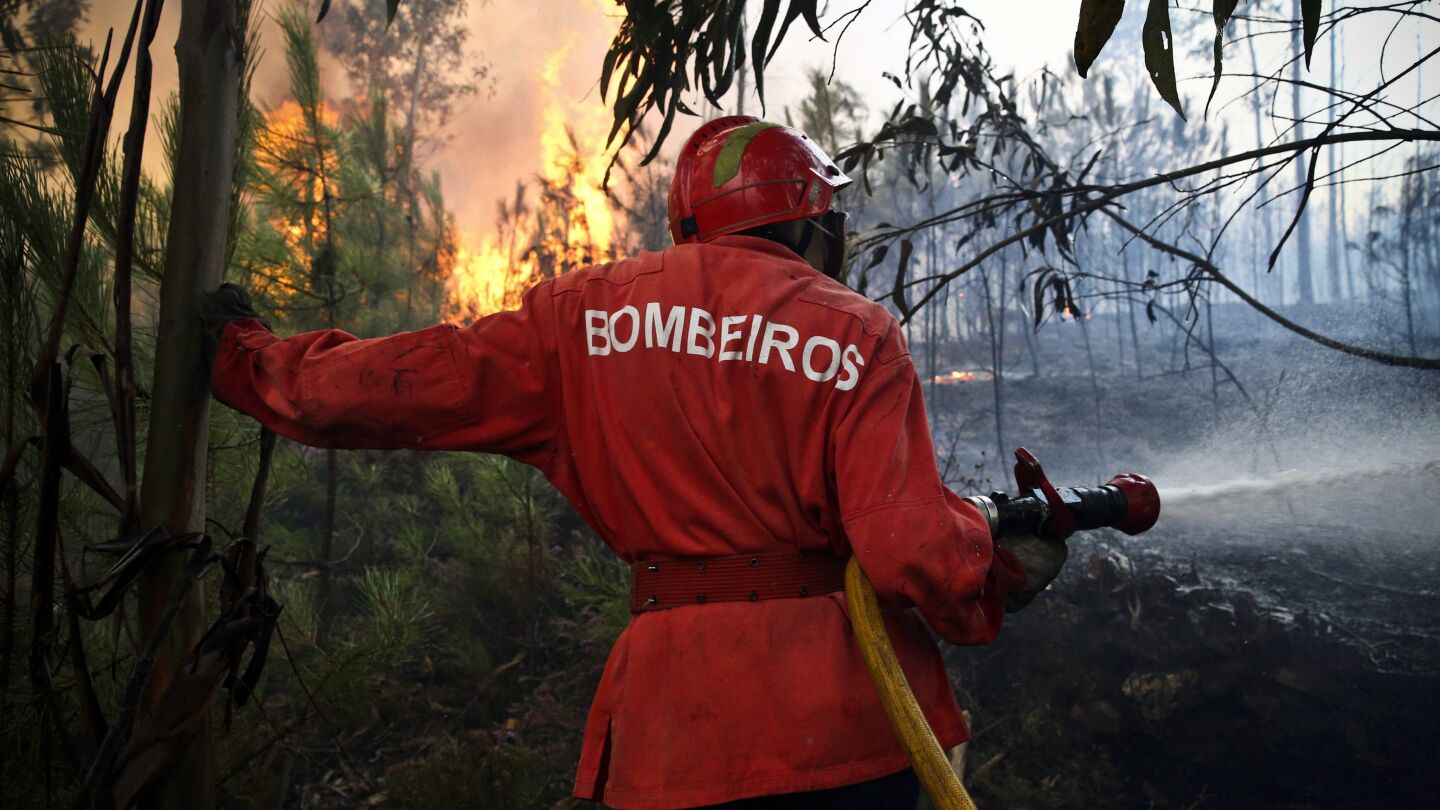 Un bombero apaga el incendio forestal que se declar&oacute; en Pampilhosa da Serra