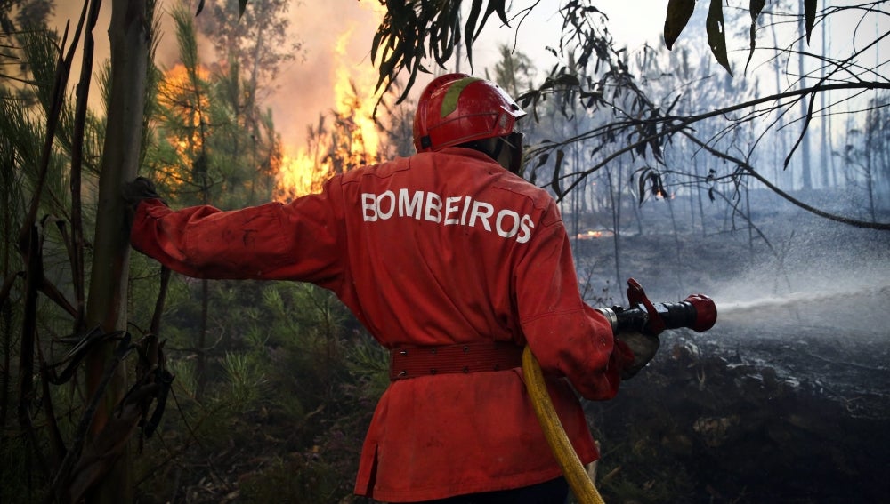 Un bombero apaga el incendio forestal que se declaró en Pampilhosa da Serra