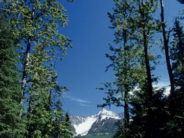 La URJC dedica una jornada a la conservación y uso sostenible de la biodiversidad La URJC dedica una jornada a la conservación y uso sostenible de la biodiversidad