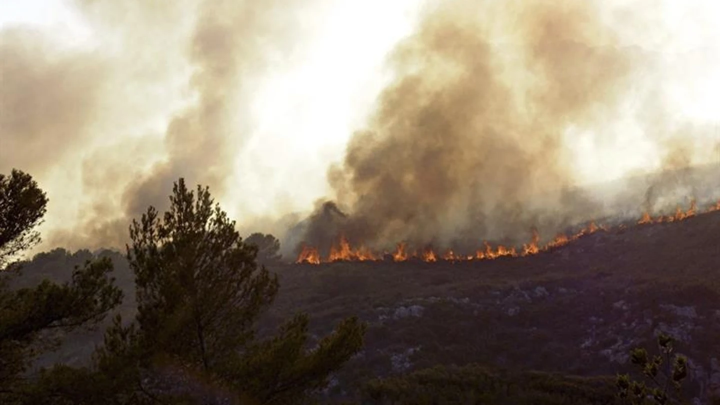 El incendio está cerca del cabo de San Antonio, en la zona del Montgó El incendio está cerca del cabo de San Antonio, en la zona del Montgó