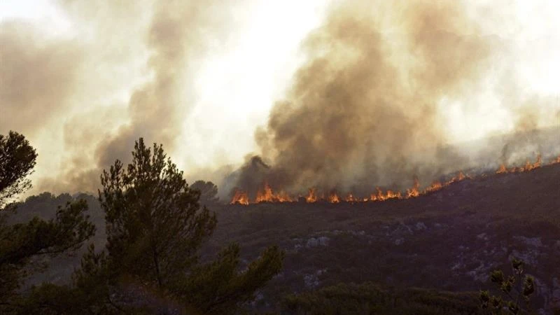 El incendio está cerca del cabo de San Antonio, en la zona del Montgó