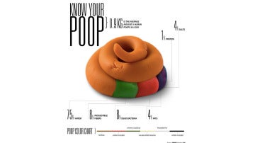 Algunas consideraciones sobre tus excrementos