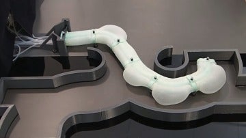 Robot serpiente