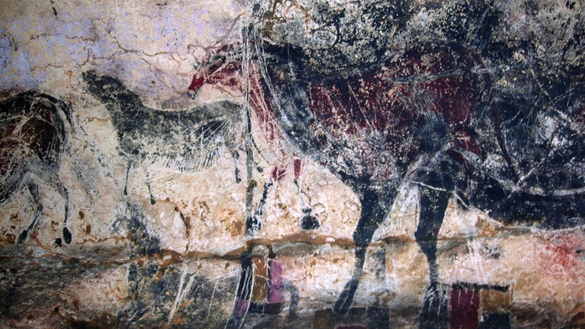 Las pinturas del Lascaux, al borde del desastre