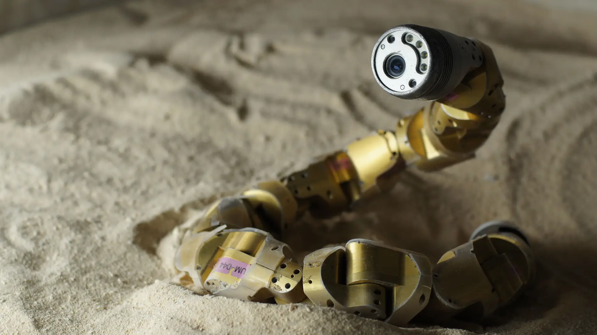 Robot serpiente