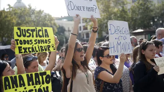 Protestas en 24 ciudades por el sacrificio del perro de Teresa Romero Protestas en 24 ciudades por el sacrificio del perro de Teresa Romero
