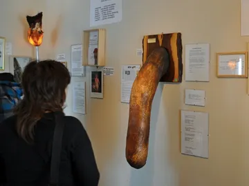 Todo empezó con una fusta hecha con un pene de toro Todo empezó con una fusta hecha con un pene de toro
