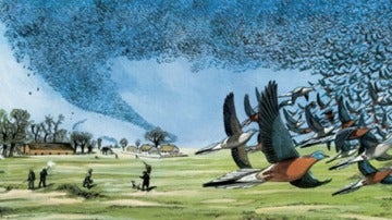 Recreación de una bandada de palomas migratorias