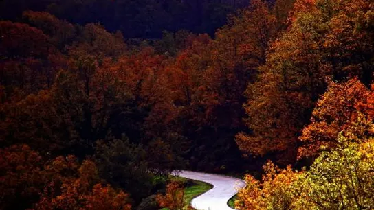 Otoño en el valle del Jerte Otoño en el valle del Jerte