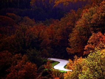 Otoño en el valle del Jerte Otoño en el valle del Jerte