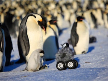 Pingüino robot en la Antártida