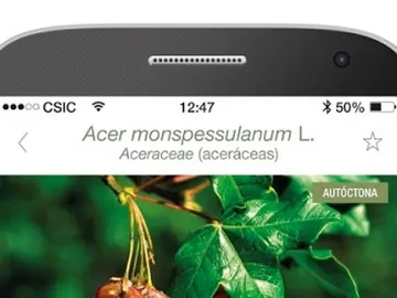Arbolapp, la app para identificar y conocer todo sobre los árboles Arbolapp, la app para identificar y conocer todo sobre los árboles