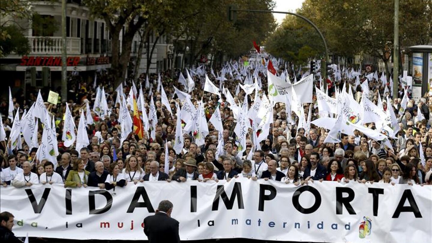 Cabeza de la manifestaci&oacute;n celebrada en Madrid, convocada por medio centenar de asociaciones provida