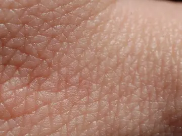 Piel humana Piel humana