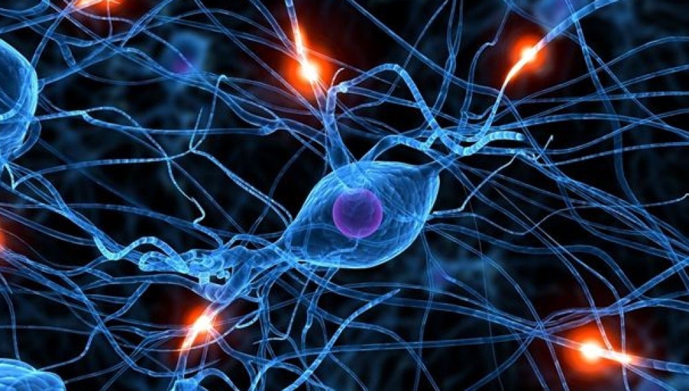 Recreación de una conexión neuronal en el crebro