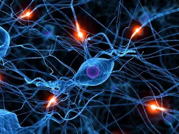 Recreación de una conexión neuronal en el crebro Recreación de una conexión neuronal en el crebro