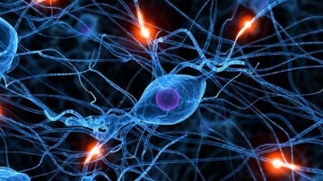 Recreación de una conexión neuronal en el crebro