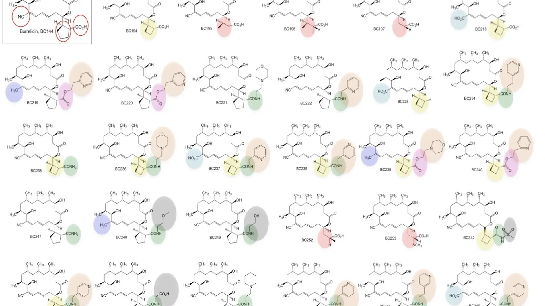 Derivados de la borrelidina