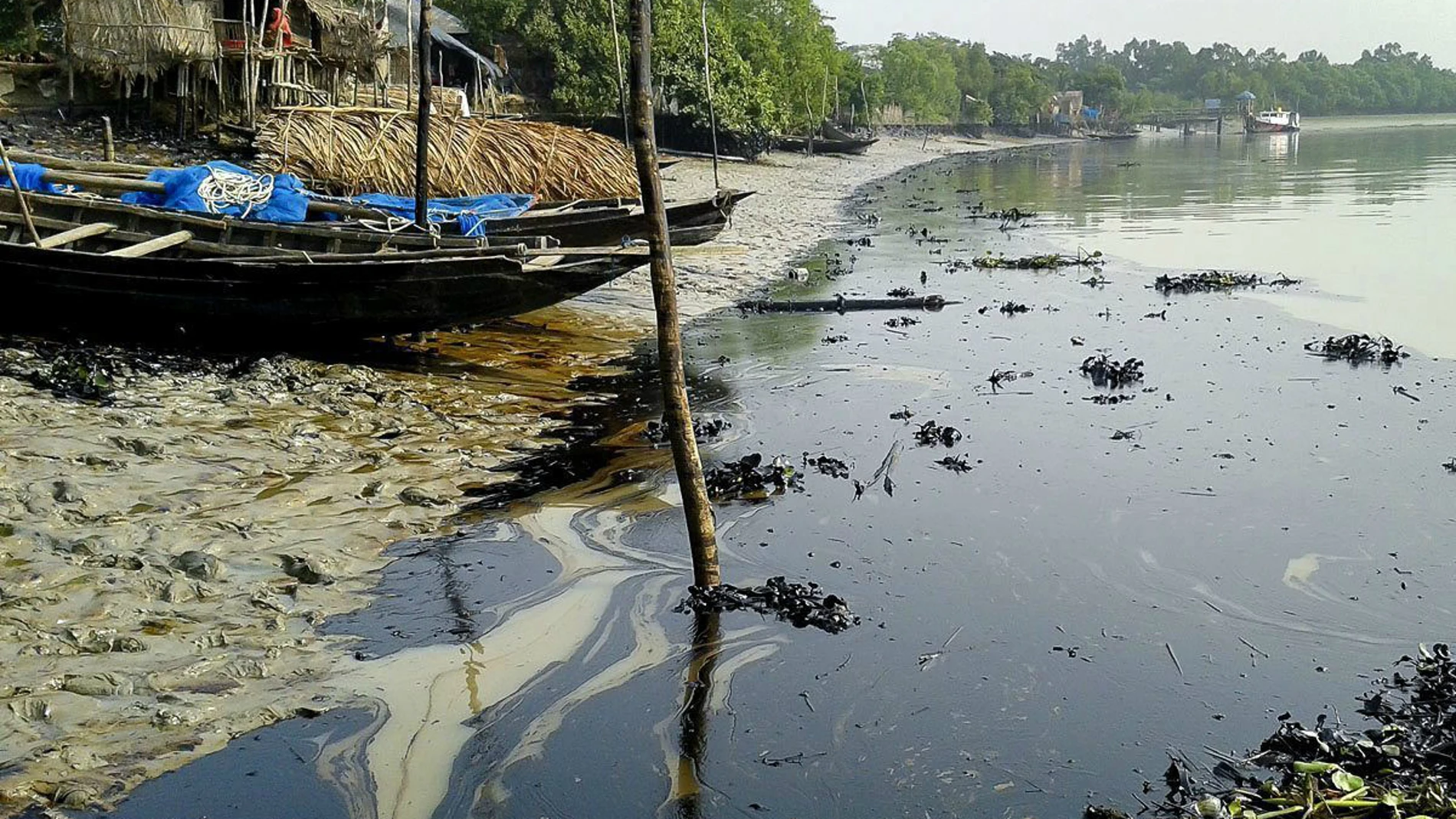 Un derrame de 350.000 litros de petróleo en un río de Bangladesh amenaza la vida de 6.000 delfines 