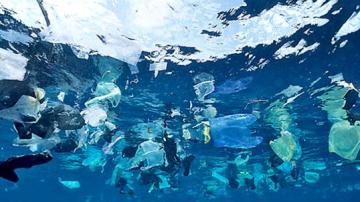 Contaminación de plásticos en nuestros oceanos