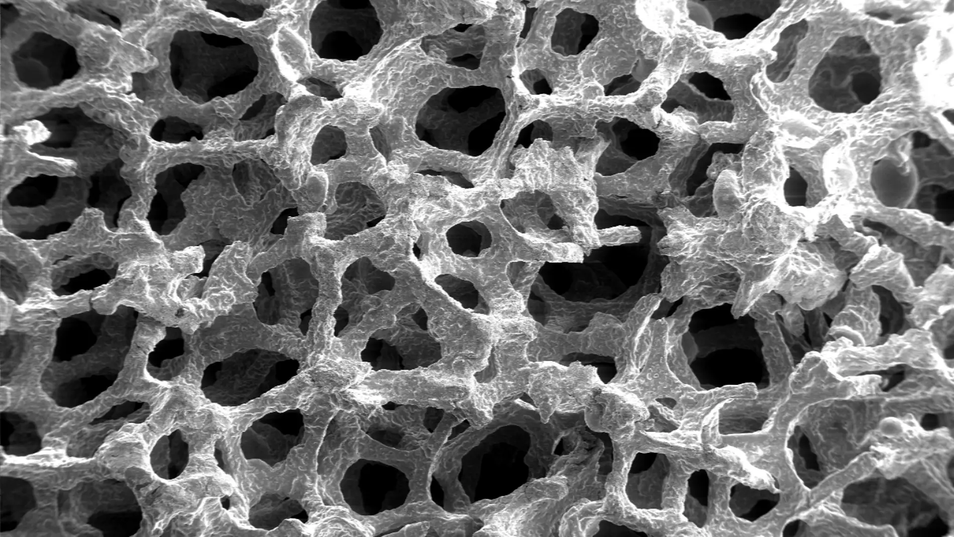 Espuma metálica en el microscopio electr