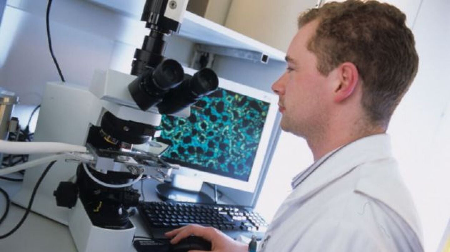 Identifican unos genes que son antitumorales en el c&aacute;ncer de vejiga