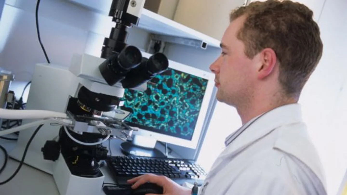 Identifican unos genes que son antitumorales en el cáncer de vejiga Identifican unos genes que son antitumorales en el cáncer de vejiga