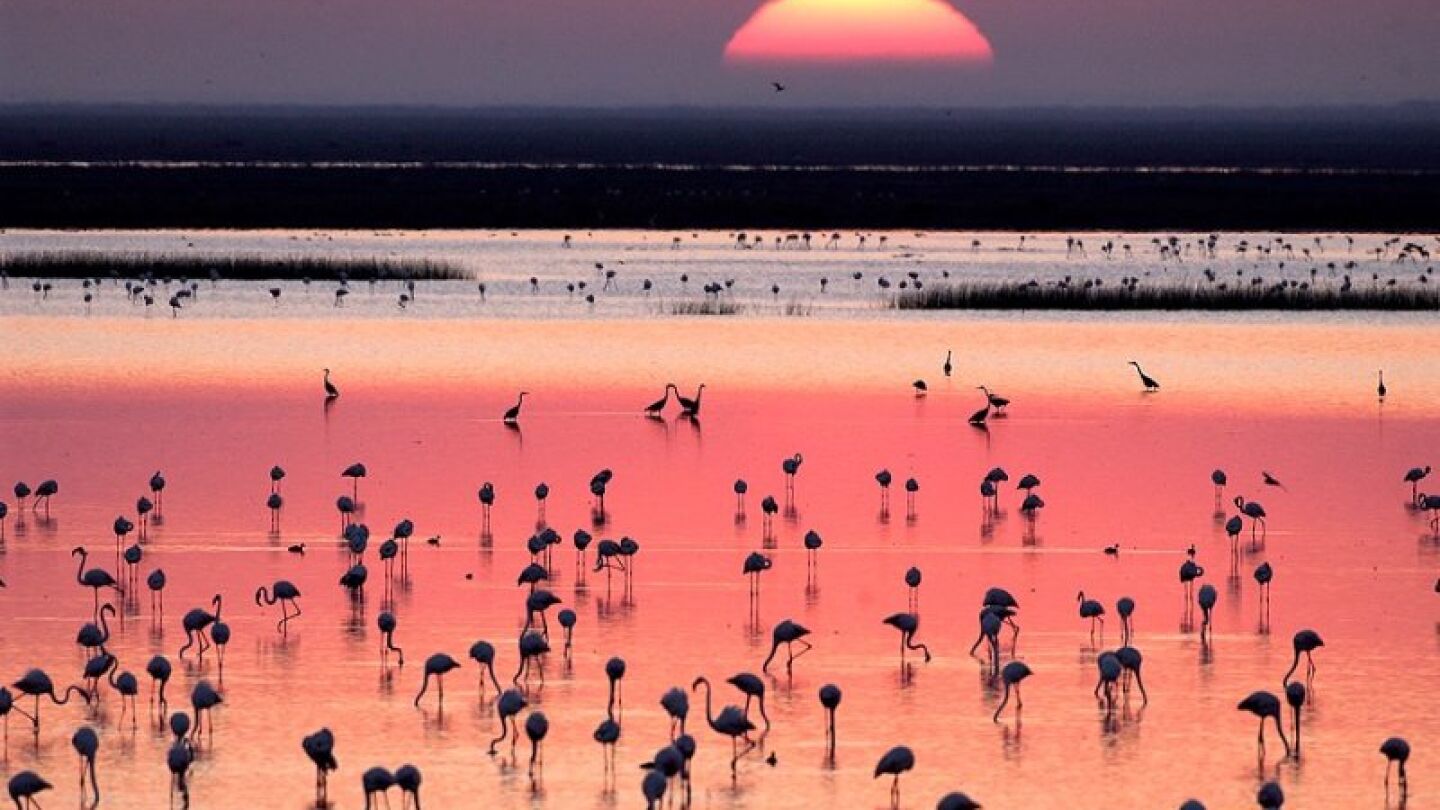 Atardecer en Do&ntilde;ana