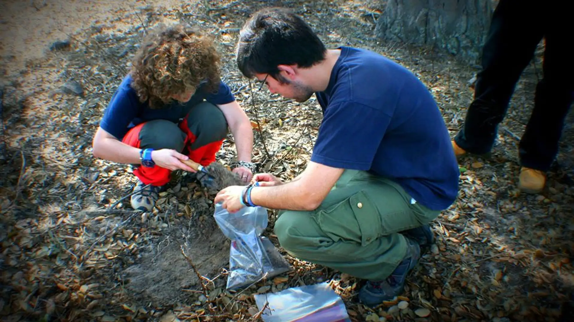 Investigadores regiendo muestras de suel